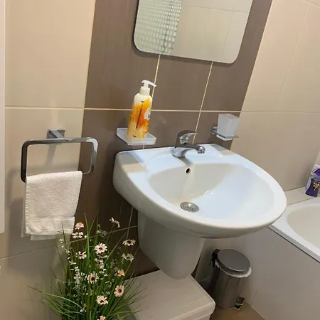 Apartment Rosa Нови Сад Екстериор снимка
