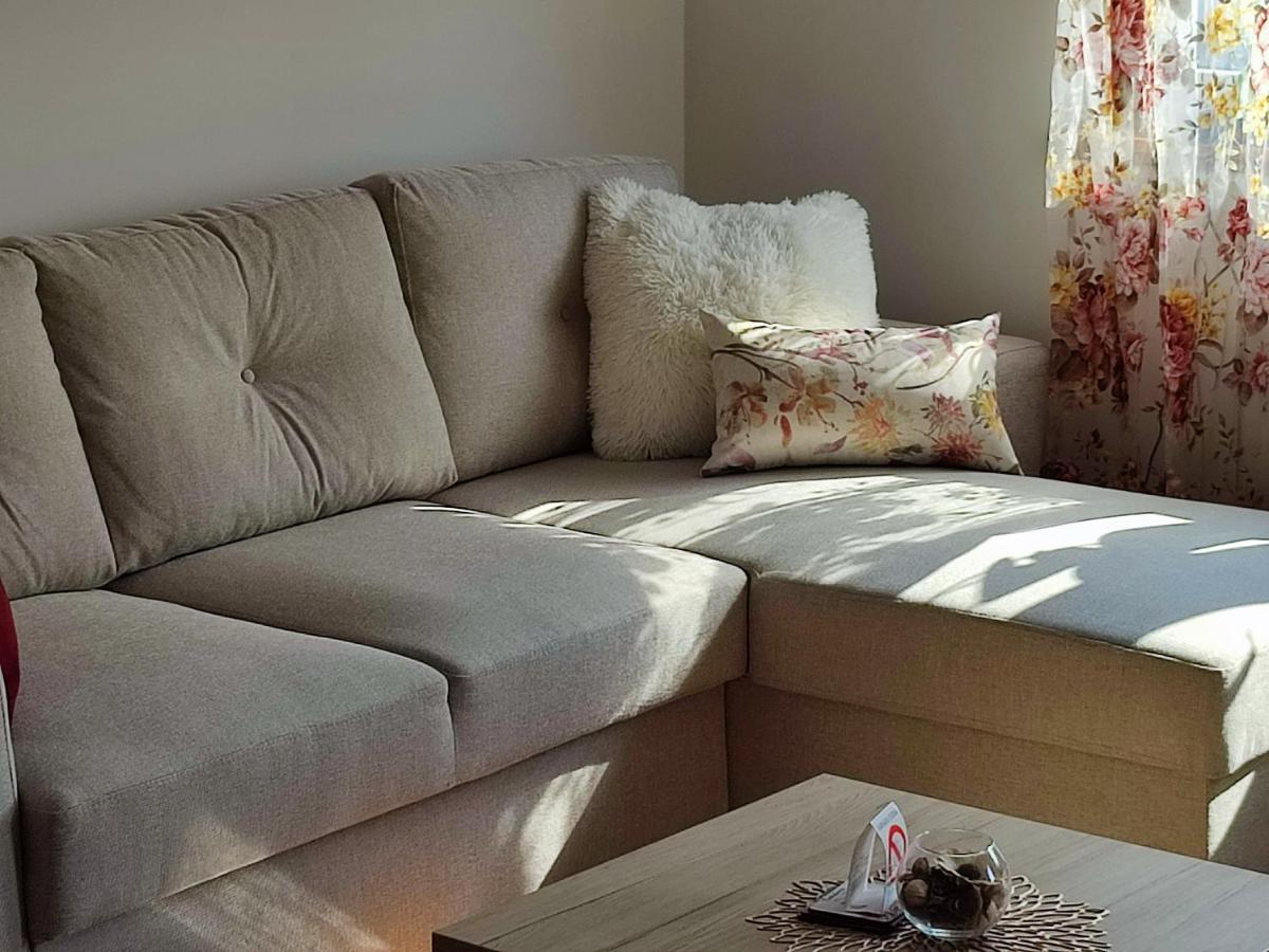 Apartment Rosa Novi Sad