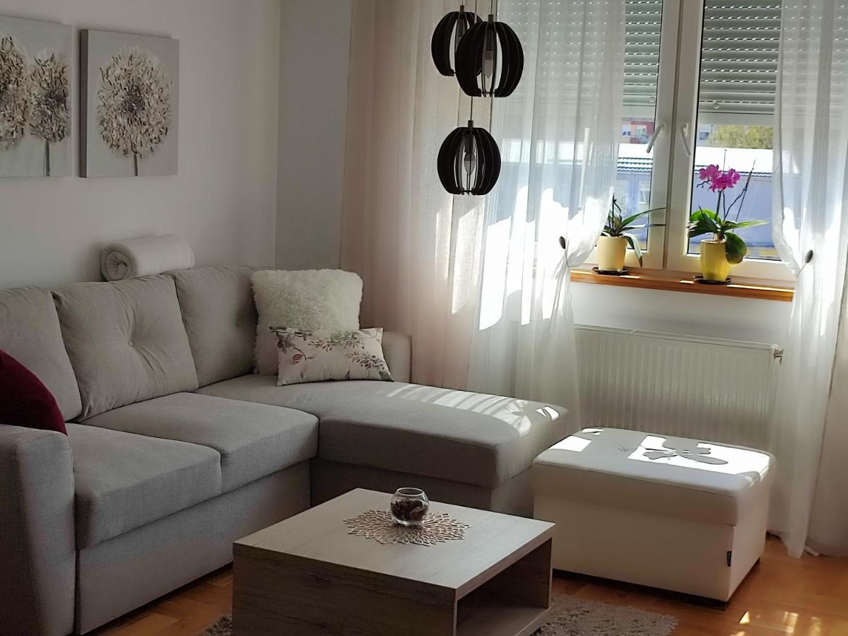 Apartment Rosa Novi Sad